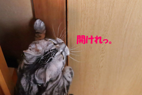 おしょと、出ましゅよな?