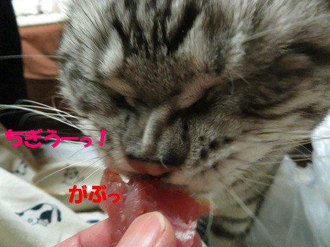 食べうの!