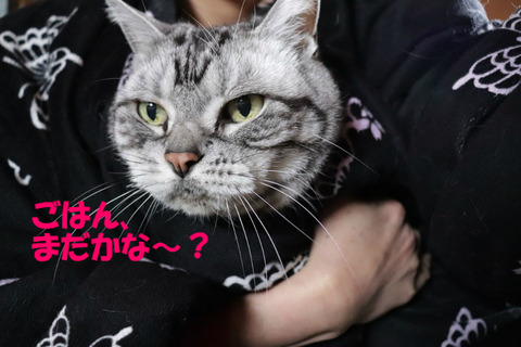 あ~あ。