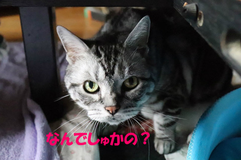 ?
