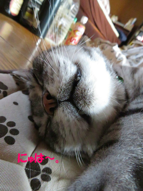 いい感じ~♪