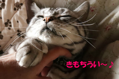 もっと~。