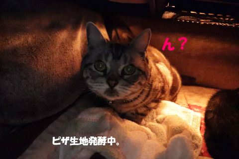 ?