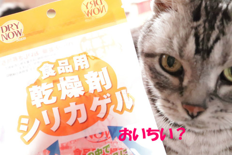 食べれましゅよな?