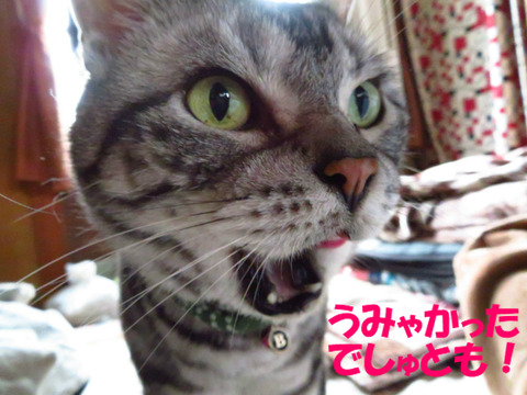 おなかいっぱ~い♪