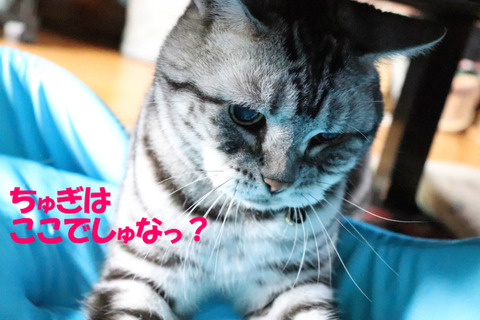 とぅっ!