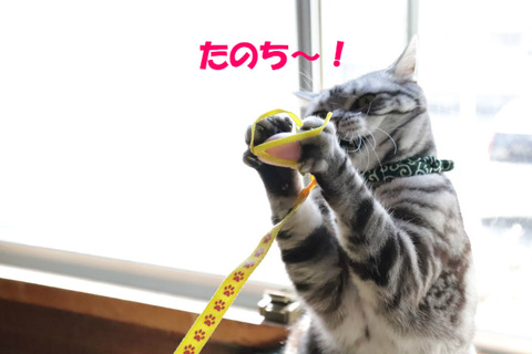取ったぁ!