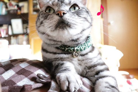 おいらの番~♪