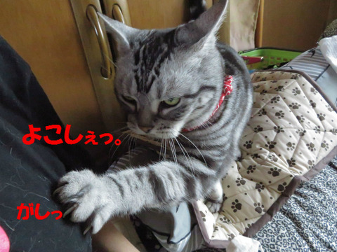 おなかすいてうの!