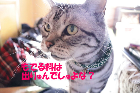 くりぇ。