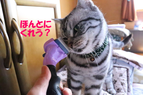 ?