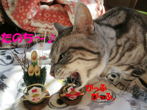んきゃ~っ♪