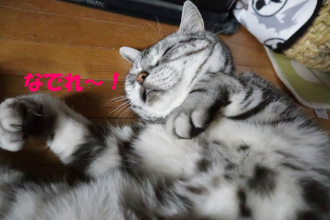 さぁっ!