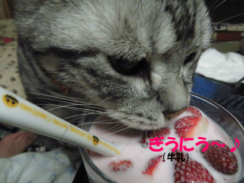 おいらも飲みゅ~。