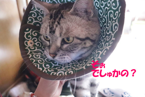 ふーん。