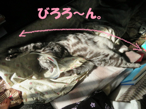 気持ちういですとも~。