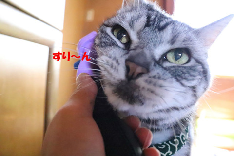 液ちゅる~♪