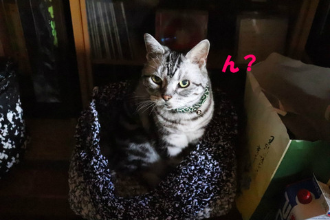 ?