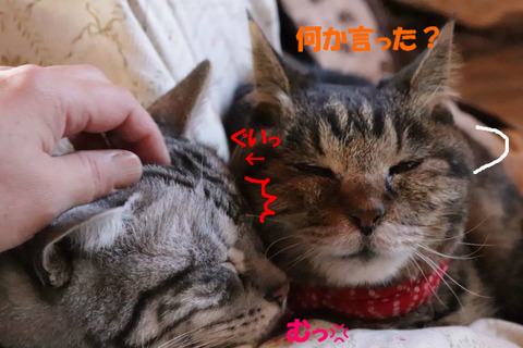 !?