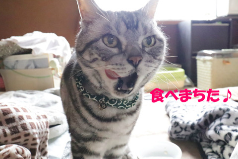 うみゃかったでしゅとも~♪