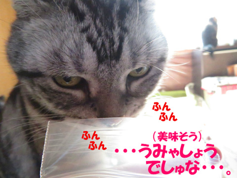 BlogPaint