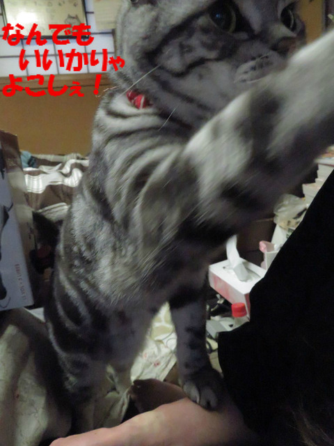 くりぇったら!