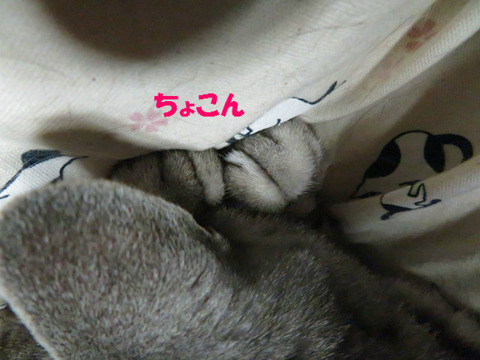 「お帰りなさいまし。」みたいな(笑)?