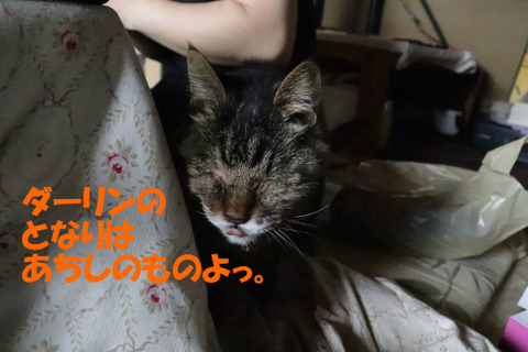 BlogPaint