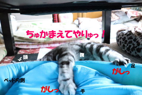 むき~っ!