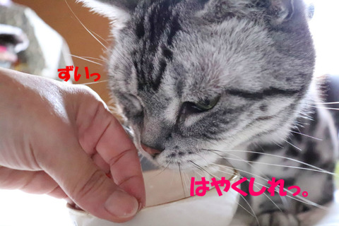 じぇんぶ食べうの!