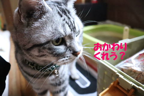 ねぇ、くれう?