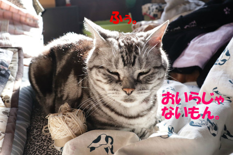 ちらない。