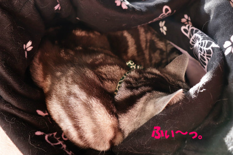 まぶち・・・。