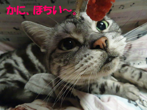 おぉ。