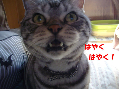 くりぇぇぇっ!