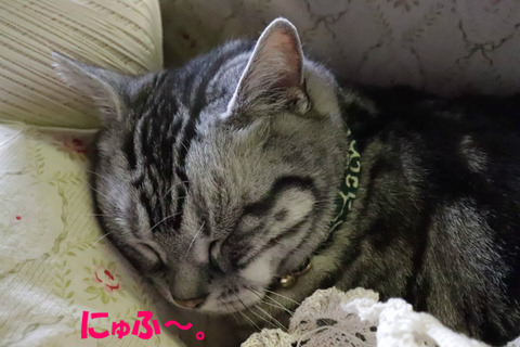 ふ~やれやれ。