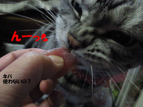 ちぎってやう!