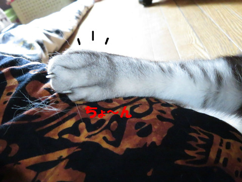 おいらの足でしゅが、なにか?