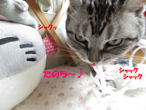 こえ、好き~♪