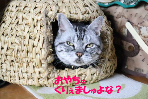 ?
