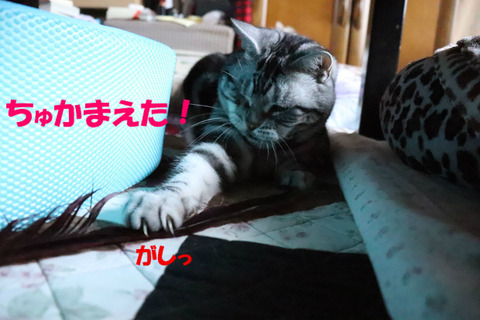 えいっ!