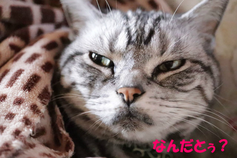 むむっ。