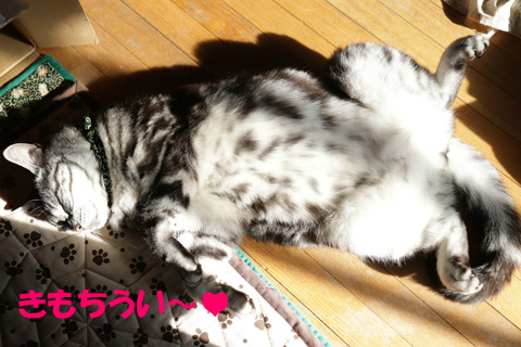 おひしゃま~♥
