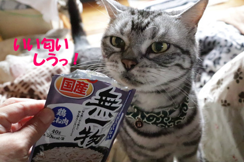 ちきんの匂い~♪