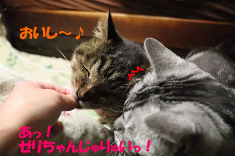 おいらのぶたでしゅじょ?