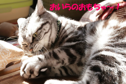 ちゃんと見てう?