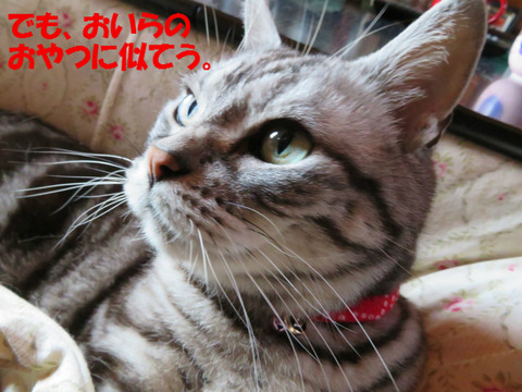 むーん。