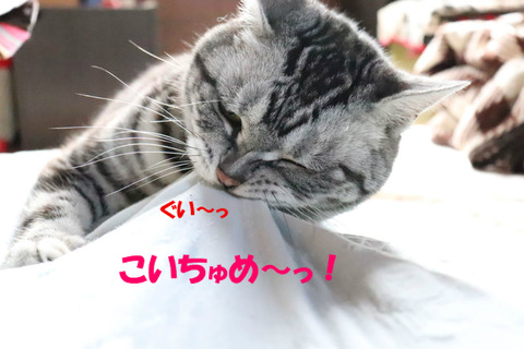 こうちてやりゅっ!