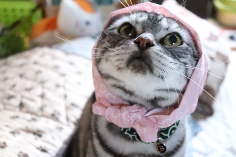 おやちゅ~♪