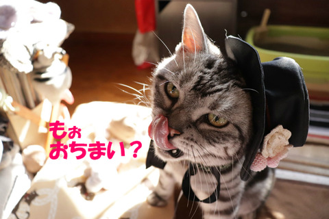 液ちゅる~。